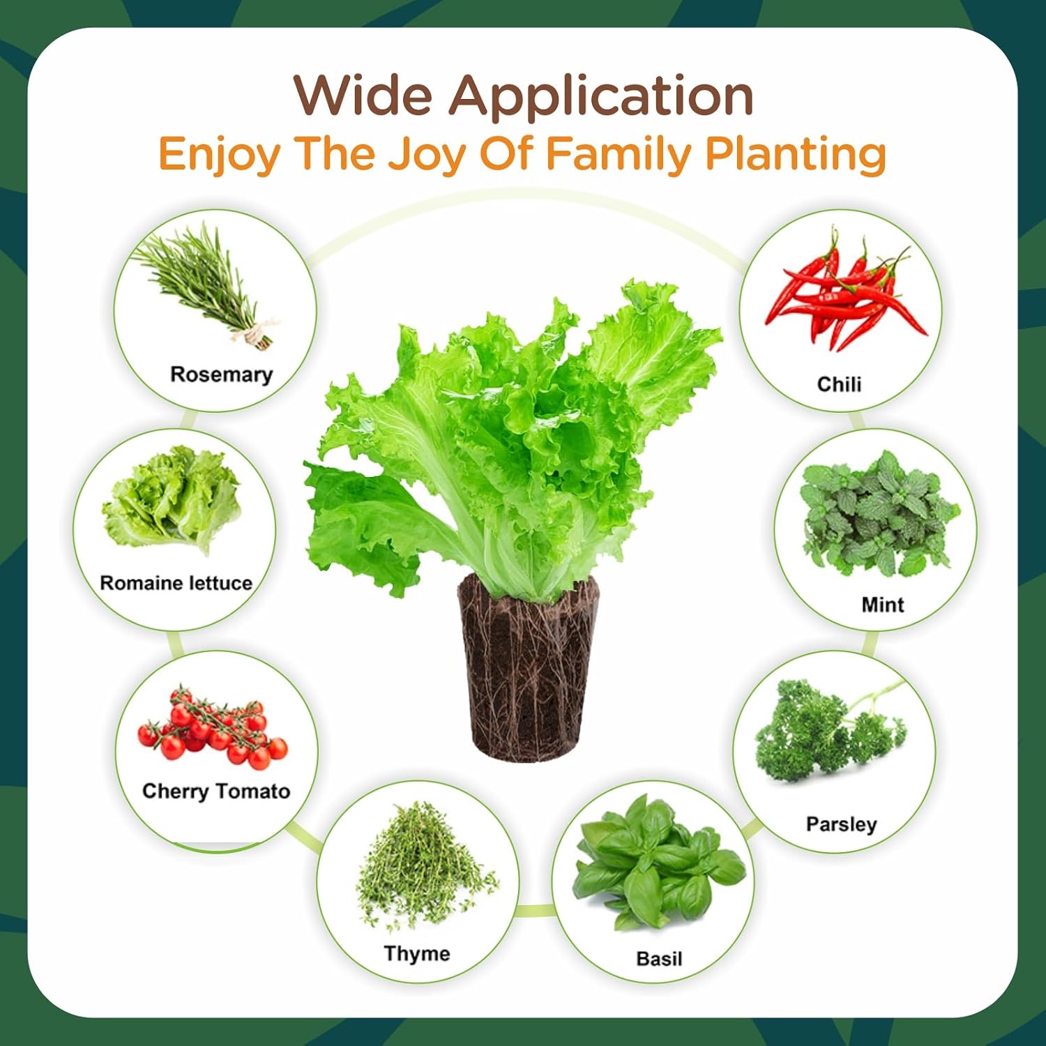 70 Count Hydroponic Grow Sponges, Pre-Drilled Seed Starter Plugs | Hydroponic Refill Pods for Starting Seeds, Herbs, Lettuce and Cuttings in Compatible Indoor Hydroponic Growing Systems.