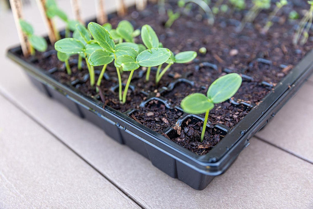 Gardzen 5-Set Seed Starter Tray Kits, Durable Plant Germination Trays with Humidity Vented Domes and Bases, Ideal for Seed Starting, Indoor Gardening, and Greenhouse (Total 200 Cells) | Durable Plant Germination Kit with Humidity Control Domes for Indoor