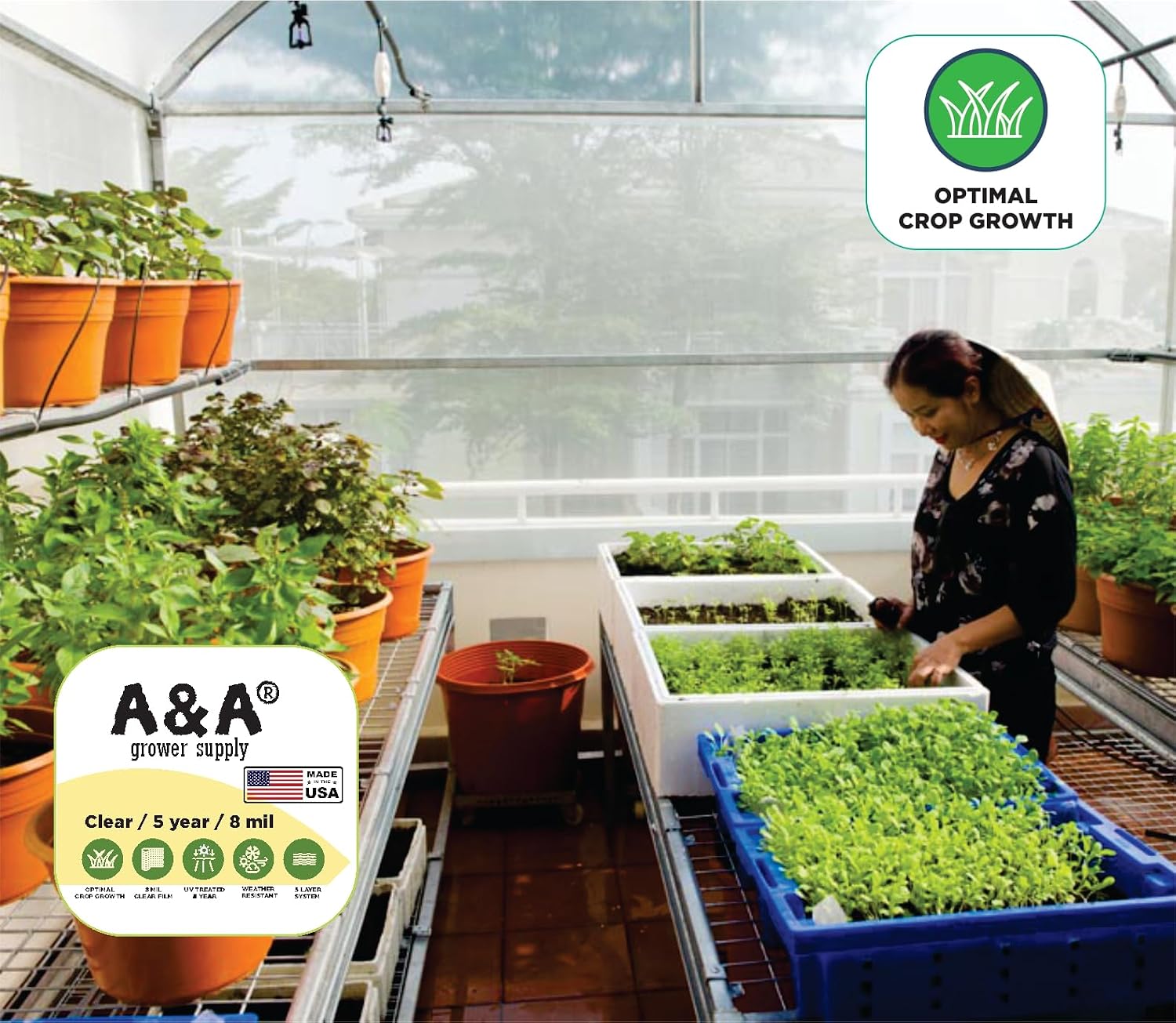 A&A Greenhouse Clear Plastic Film 8 mil - Polyethylene Covering - UV Protection - (10 ft. W x 25 ft. L)