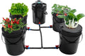DWC Hydroponic Growing System, 5-Gallon Deep Water Culture, Deep Culture Growing Kit with 5 Buckets, Pump, Air Stone and Water Level Device, for Indoor/Outdoor Leafy Vegetables