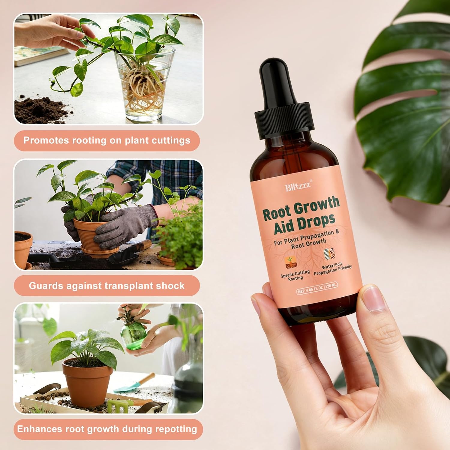 Root Drops - Liquid Rooting Hormone for Cuttings- Fast Growth Propagation Drops | Less Shock in Water/Soil/LECA/Moss | Fits Pothos, Monstera, Philodendron & All Houseplants (4 oz) (1)