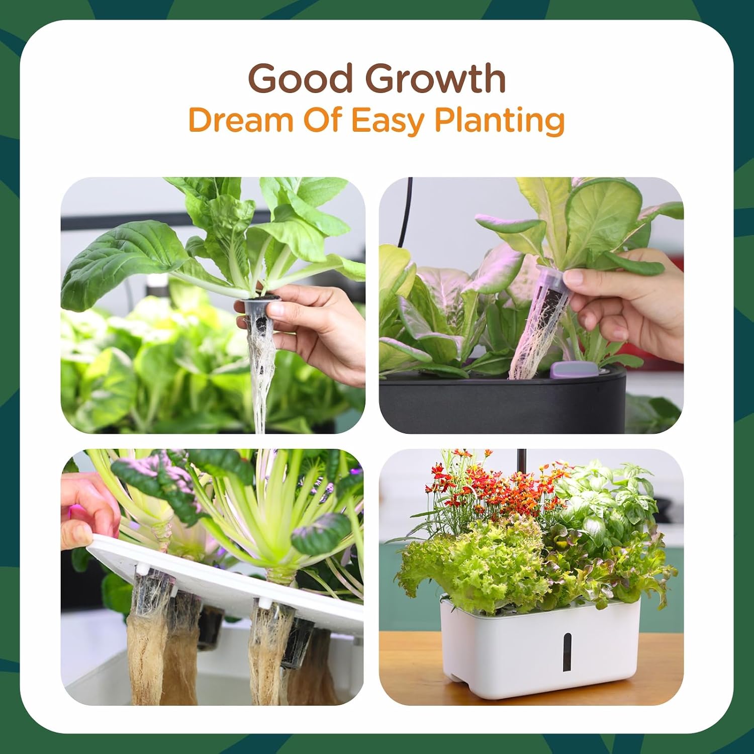 70 Count Hydroponic Grow Sponges, Pre-Drilled Seed Starter Plugs | Hydroponic Refill Pods for Starting Seeds, Herbs, Lettuce and Cuttings in Compatible Indoor Hydroponic Growing Systems.