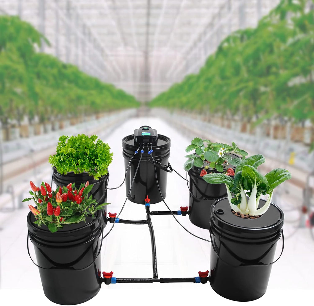DWC Hydroponic Growing System, 5-Gallon Deep Water Culture, Deep Culture Growing Kit with 5 Buckets, Pump, Air Stone and Water Level Device, for Indoor/Outdoor Leafy Vegetables