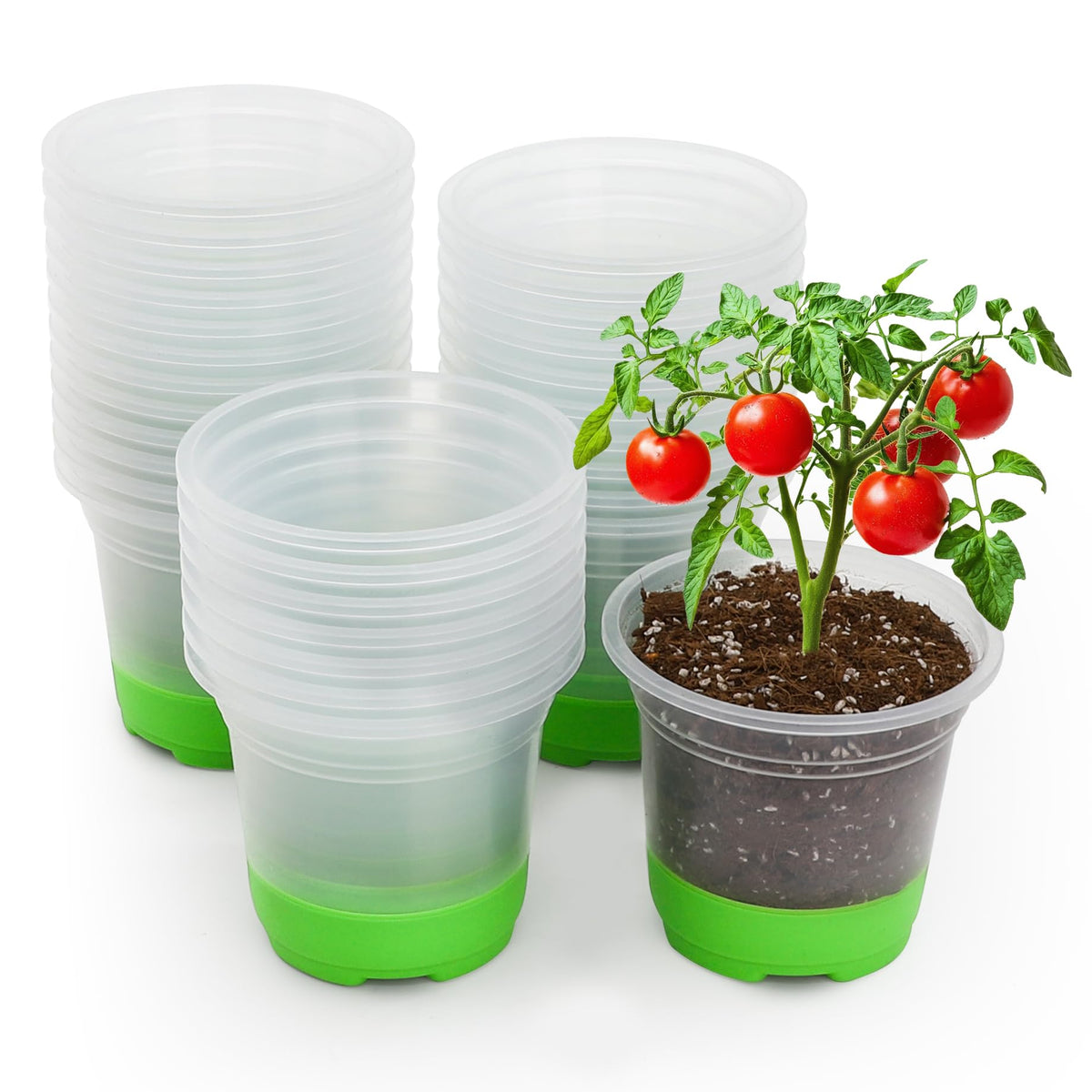 MIXC Clear Nursery Pots with Silicone Base, 4-Inch, 30-Pack | Sturdy Construction, Flexible Base, Drainage Holes, Root and Soil Visibility, Reusable, Seed Starting, Propagation, Green