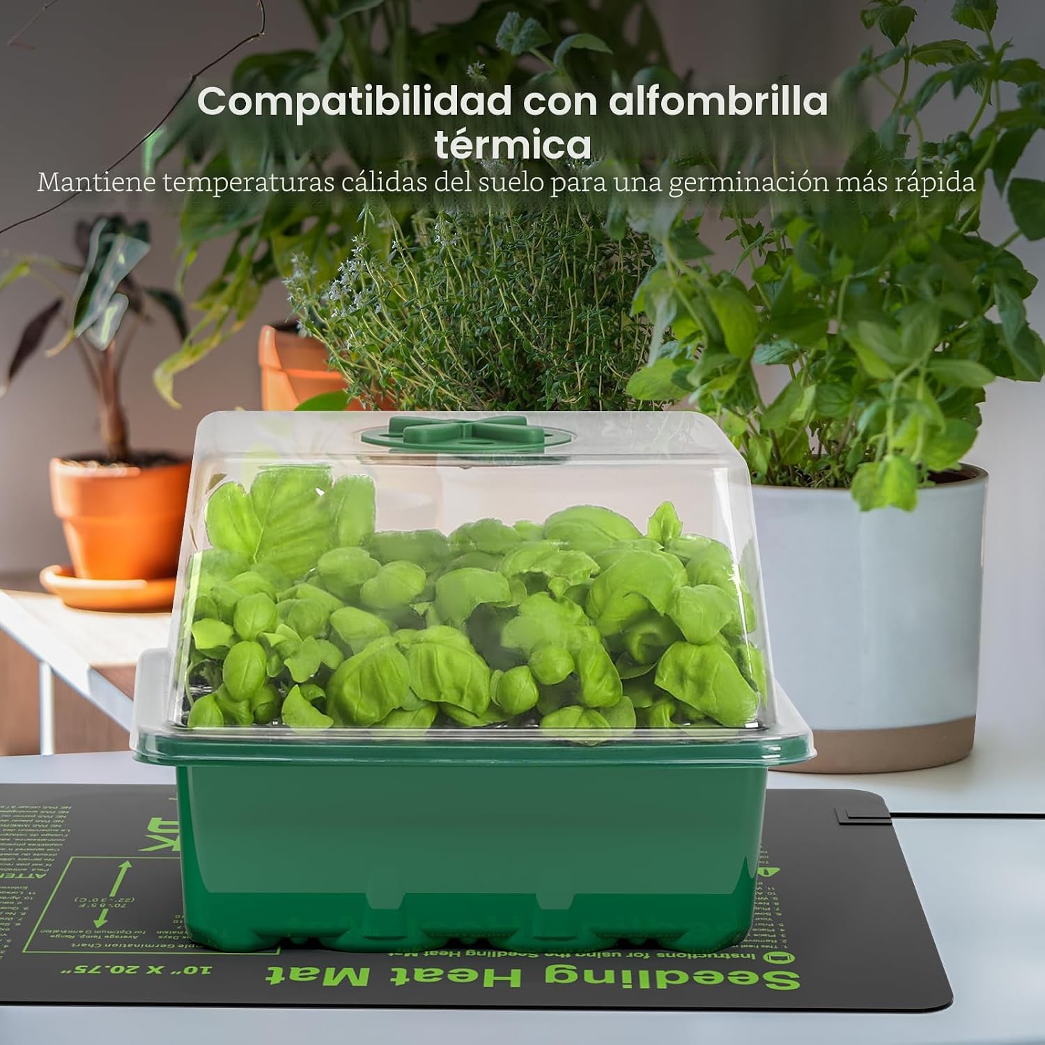 Kit de inicio de semillas MIXC con luz de crecimiento, kit de bandeja para plántulas elevadas con cúpula de humedad ajustable y bandeja de celdas transparentes, 12 perlas LED de espectro completo para
