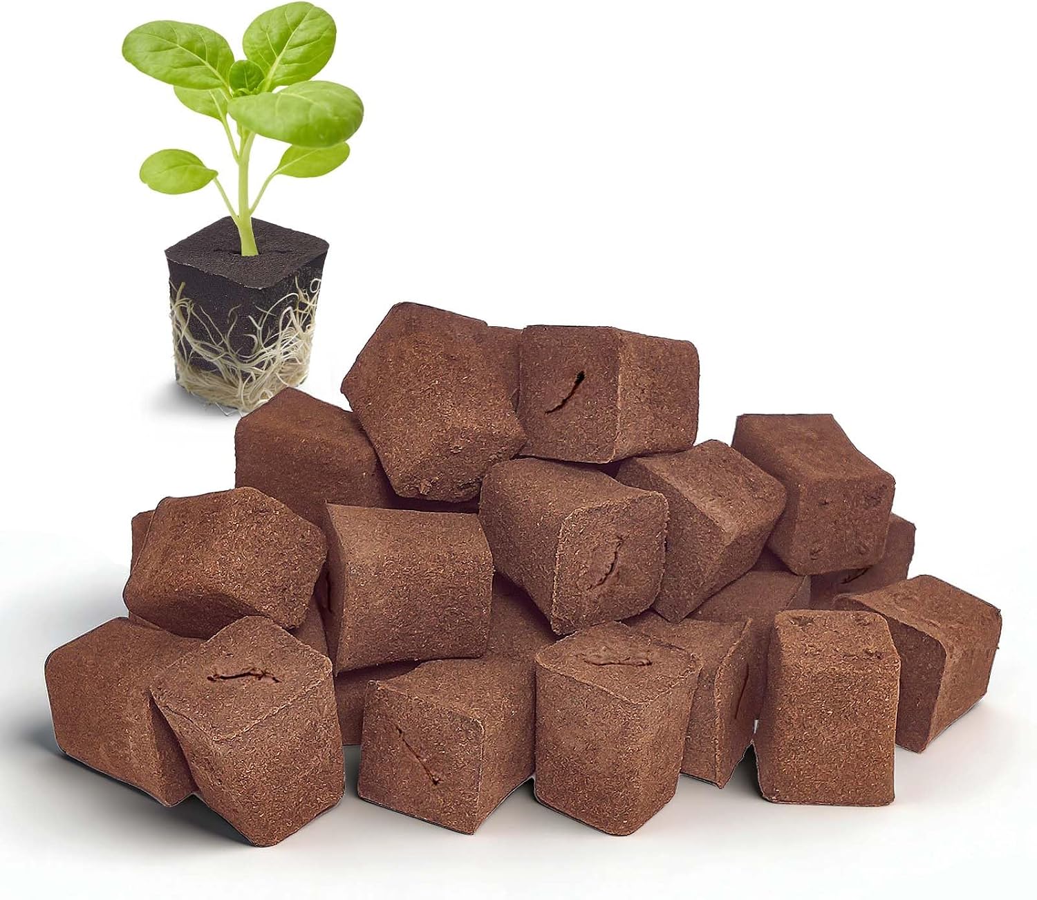 50 Packs Cuttage Grow Sponges, Pods Root Growth Sponge Eco Friendly PH Balance, Square Sponge Replacement Part Seedling Starter Sponges for Hydroponic Indoor Garden System Cuttage Rooting