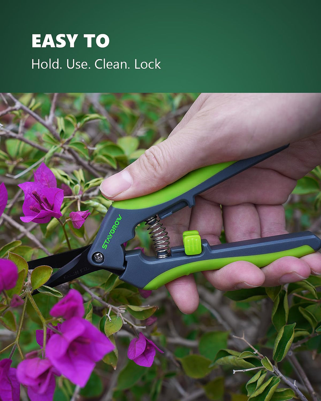 2pcs 6.5" Pruning Shears for Gardening Ultra Sharp Garden Scissors | Plant Snips for Precise Cuts, Stainless Steel Bonsai Clippers with Spring Loaded, Garden Shears (1pc Straight & 1pc Curved)