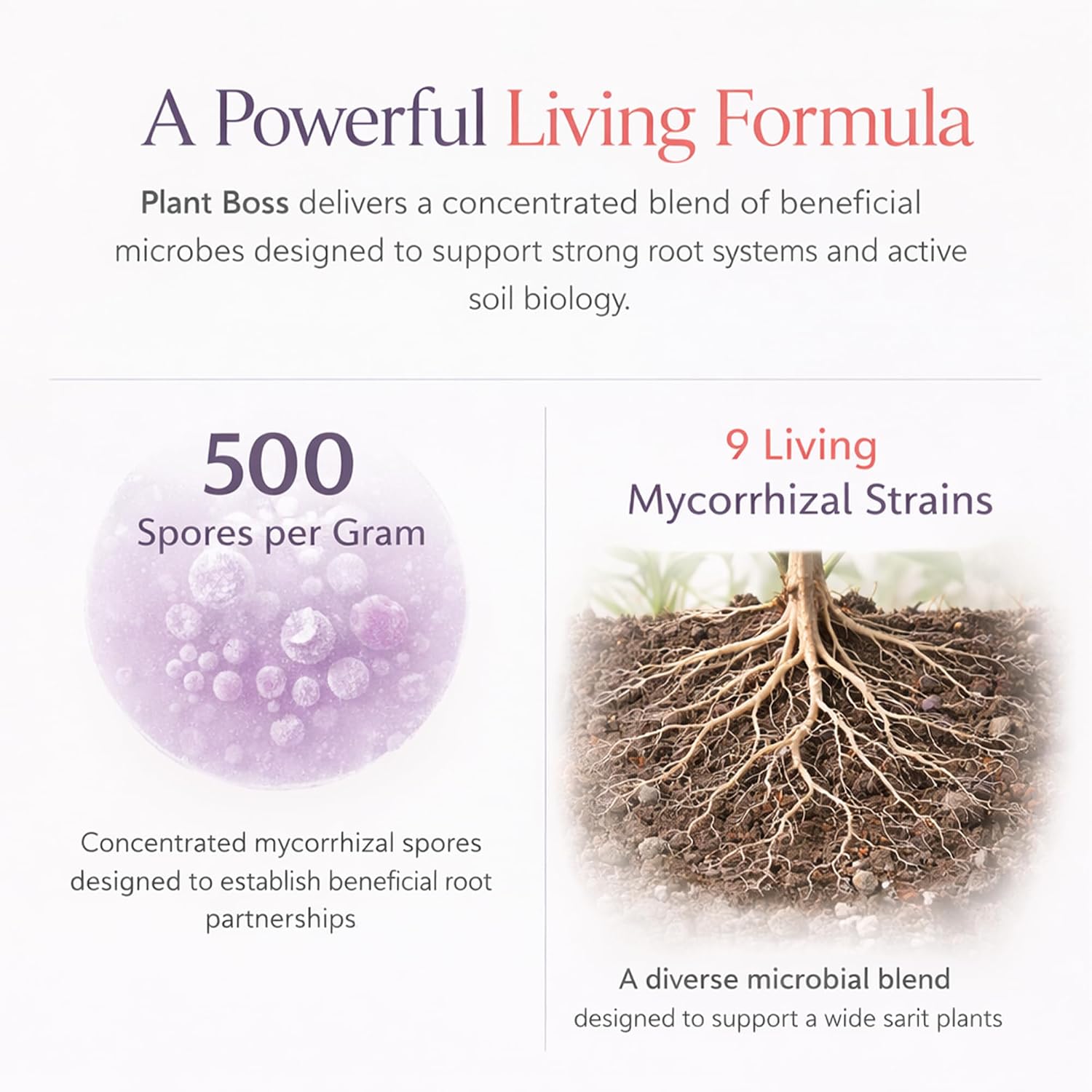 Plant Boss Mycorrhizal Fungi Root Booster – Premium Mycorrhizae for Houseplants, Flowers & Garden Plants – Improves Root Growth, Nutrient Uptake & Plant Health – 4 oz