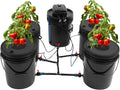 Hydroponics Growing System,4 Bucket DWC Hydroponic Kit with 12W Air Pump & 5.28Gal Capacity,Complete Indoor Gardening System for Vegetables,Herbs, Home Garden,Weed Growing Kit