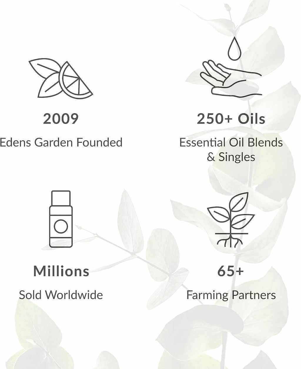 Edens Garden Cannabis Essential Oil- 100% Pure Premium Grade, Undiluted, Natural, Therapeutic, Aromatherapy, The Best for Diffuser, Skin, Candle, Humidifiers 10 ml (.33 fl oz)