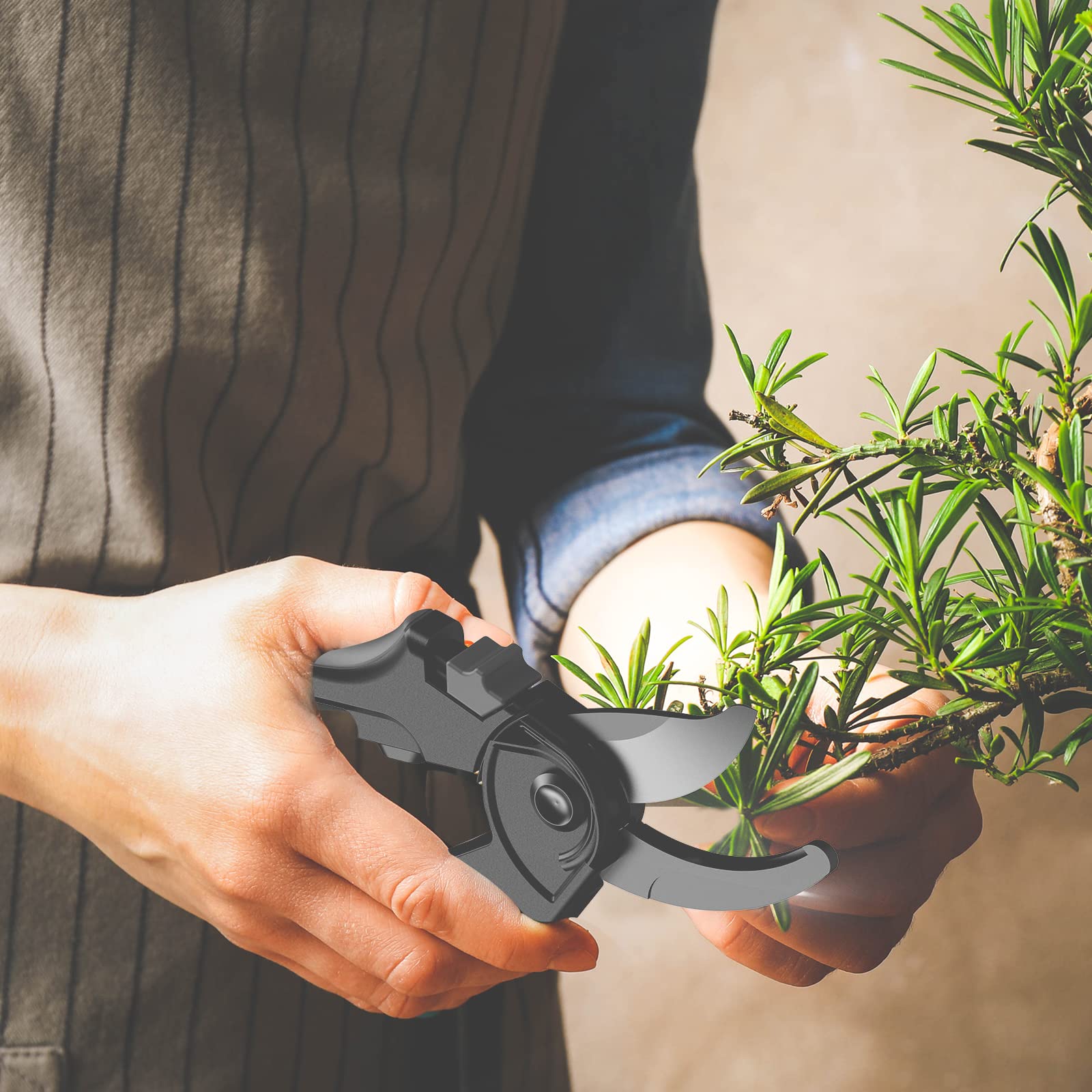 AC Infinity 6.6” Stainless Steel Curved Pruning Shear 2-Pack | Lightweight Ergonomic Design, Curved Precision Blades with Nonstick Teflon Coating for Gardening, Hydroponics, Grow Tents