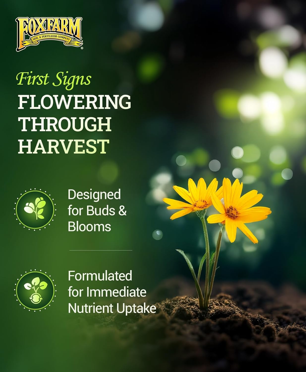 FoxFarm Tiger Bloom Liquid Plant Food - Phosphorus Fertilizer for Buds, Blooms & Flowering - Supports Soil & Hydroponic Systems - High Micronutrient Formula with 2-8-4 Nutrient Ratio - 1 Pint
