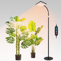 FECiDA 2026 Floor Lamp Grow Light, Standing Grow Lights with Stable Round Base for Tall Indoor Plants, Bonsai Tree, Monstera, 4/8/12/16/20 Hr Timer, 25 Watt Power Draw, 40"-76" Height Adjustable