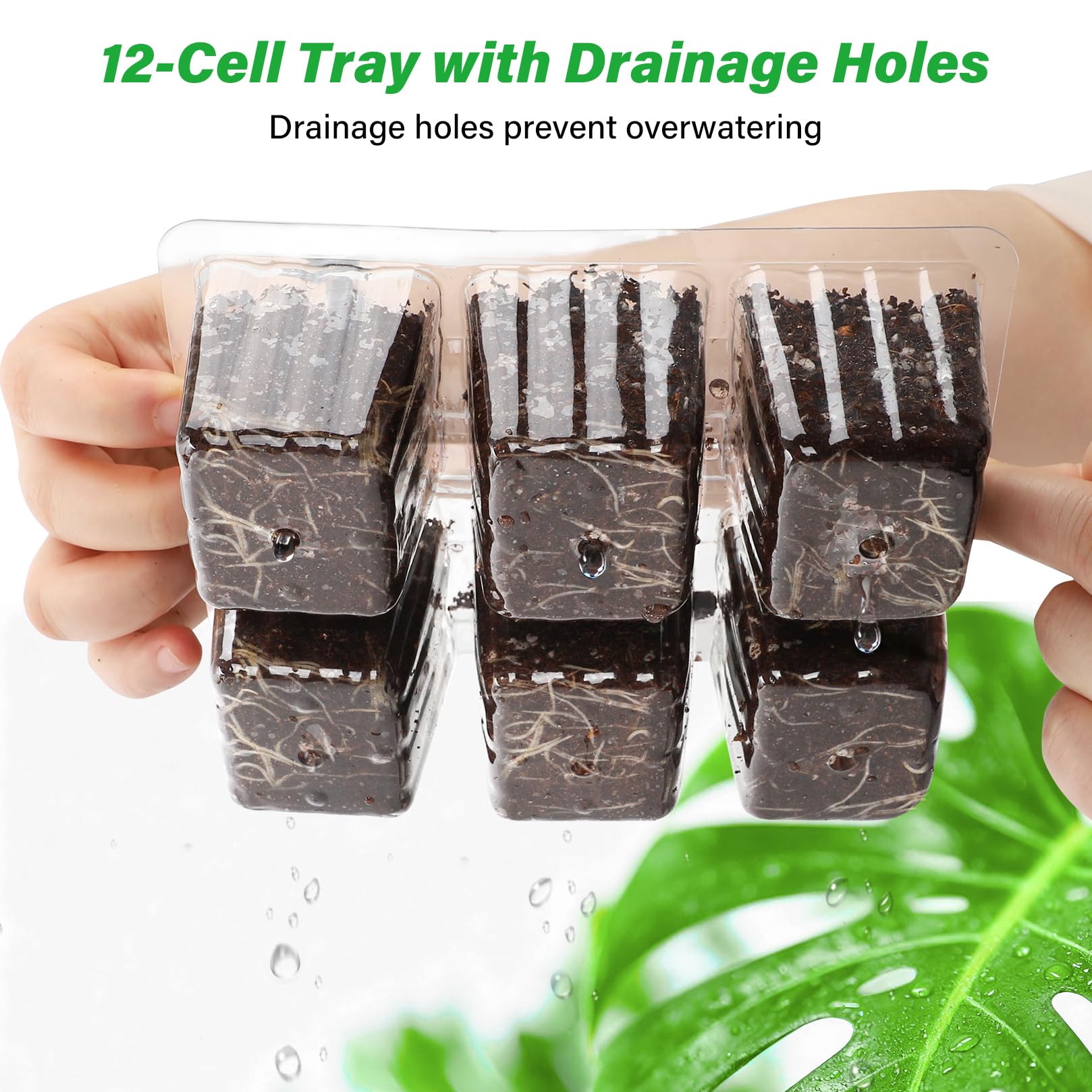 10-Pack Seed Starter Trays, Tall Dome, Base, 12-Cell Tray, Clear | 10 Seedling Kits with Tall Domes for Large Seed Starting. Adjustable Vents, Clear Trays & Heat Mat Compatibility, Indoor Use