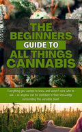 The Beginner's Guide to All Things Cannabis: A Complete Introduction to Cannabis for New and Returning Users (All Things Cannabis Presents Book 2)
