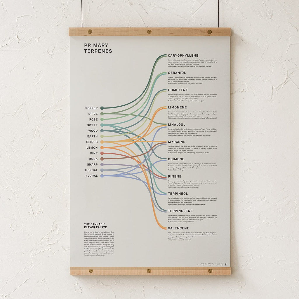 Goldleaf Primary Terpenes Art Print: The Cannabis Flavor Palate Infographic Chart, Terpene Poster, Marijuana Flavors Infographic, Elevated Stoner Decor, Weed Chart Wall Art (18x24)