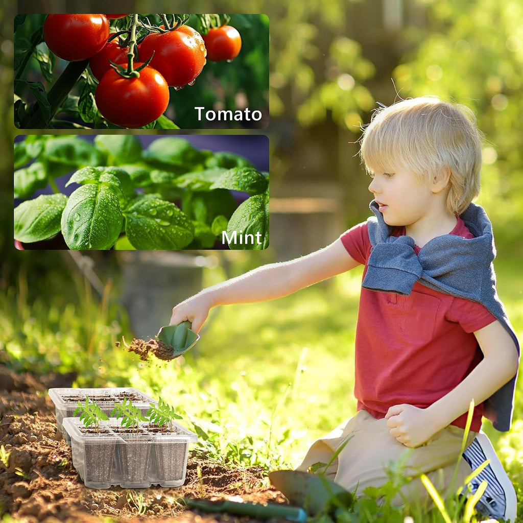 10-Pack Seed Starter Trays, Tall Dome, Base, 12-Cell Tray, Clear | 10 Seedling Kits with Tall Domes for Large Seed Starting. Adjustable Vents, Clear Trays & Heat Mat Compatibility, Indoor Use