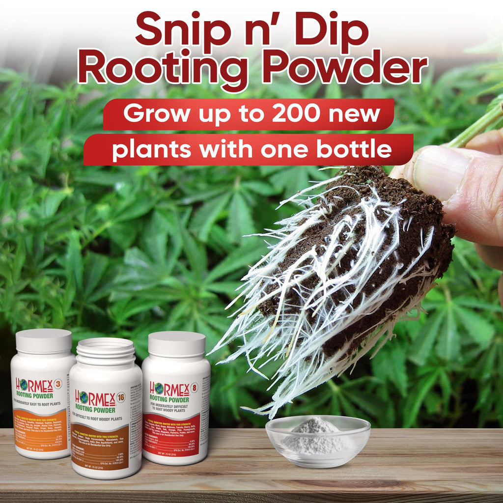 Hormex Rooting Hormone for Cuttings #16 - Max-Strength Powder (1.60% IBA) | Maximum Strength Rooting Hormone, Root Stimulator for Plants, Rooting Powder Compound for Difficult Hardwood Plants & Trees