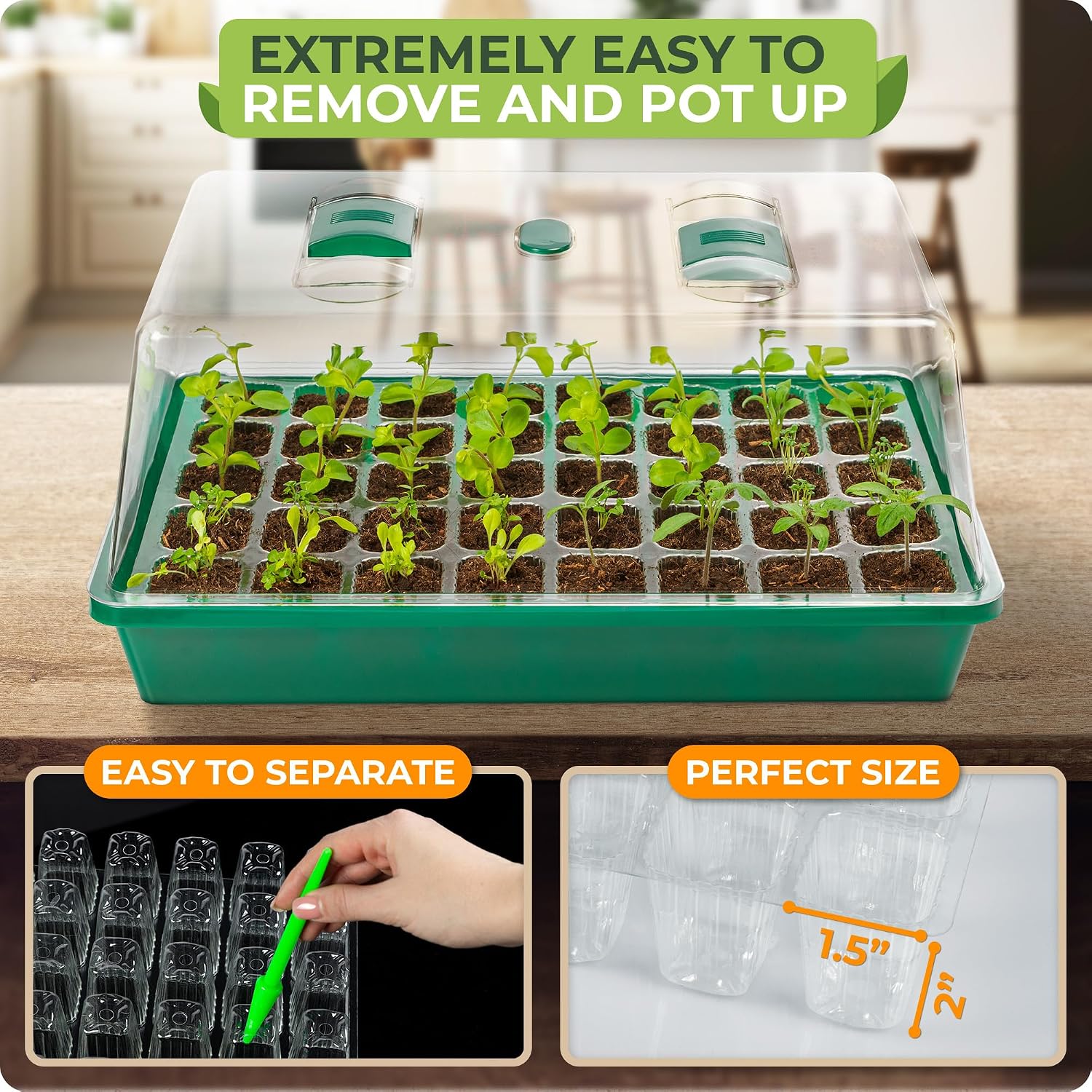 Seed Starter Tray with Grow Lights and Heating Mat - 40 Cell Plant Germination Tray with 4.7" Humidity Dome Seed Starter Kit for Indoor Seed Starting and Propagation