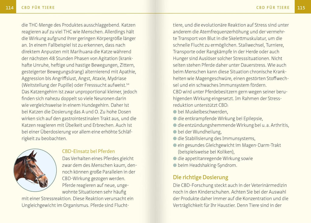 CBD - die wiederentdeckte Naturmedizin. Kompakt-Ratgeber