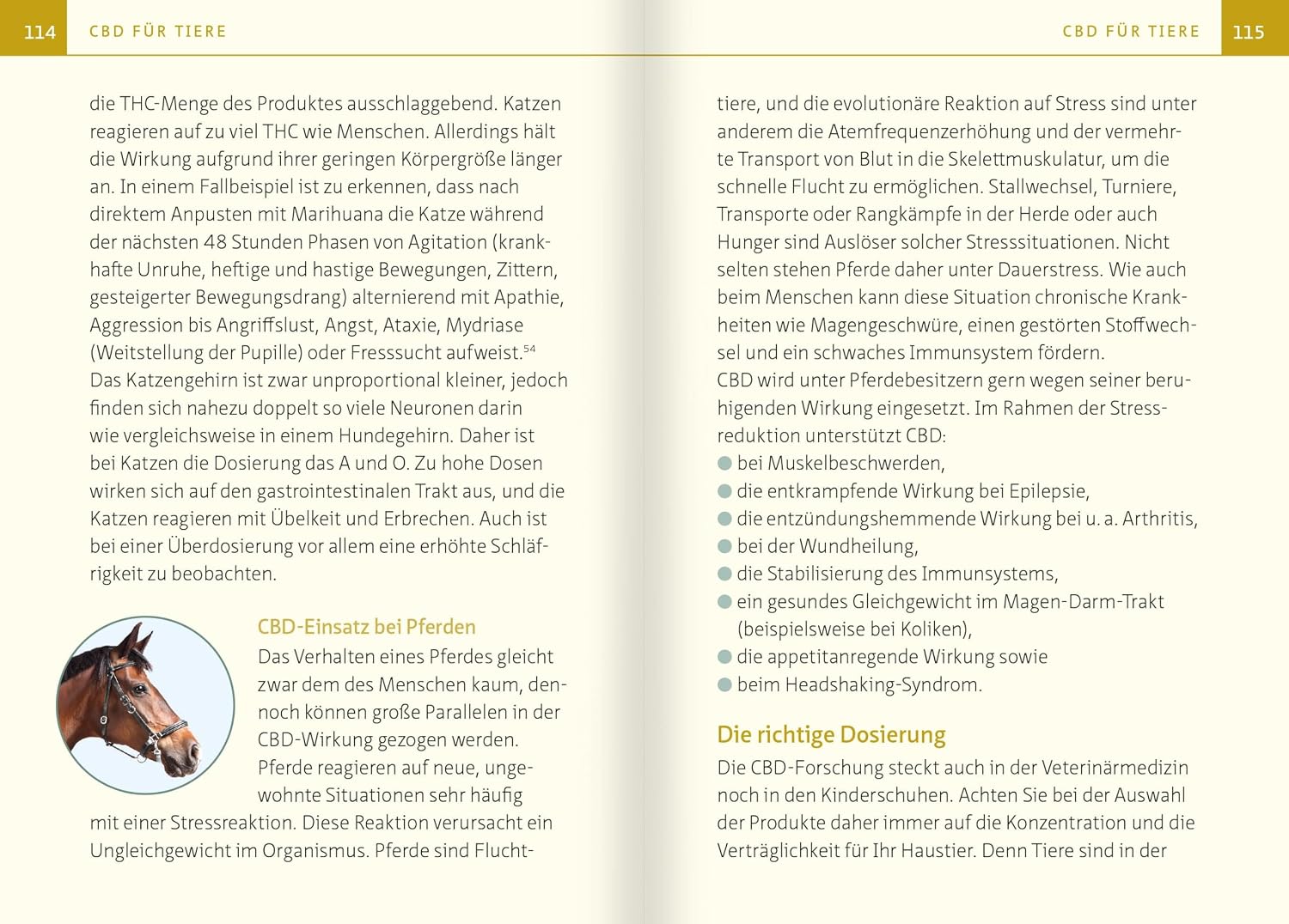 CBD - die wiederentdeckte Naturmedizin. Kompakt-Ratgeber