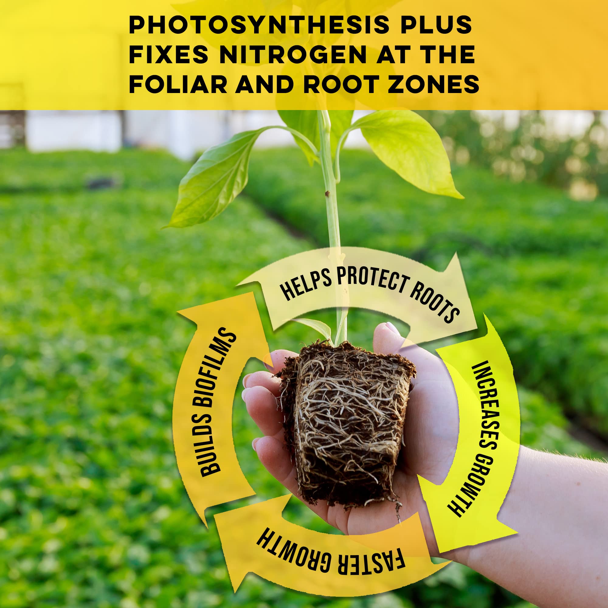Microbe Life Hydroponics Premium Photosynthesis Plus to Grow Fruits, Vegetables, and Herbs, The Best Professional Big Bud Grow, Use with Any Feeding Systems Including Hydroponics or Soil, 16 Ounces