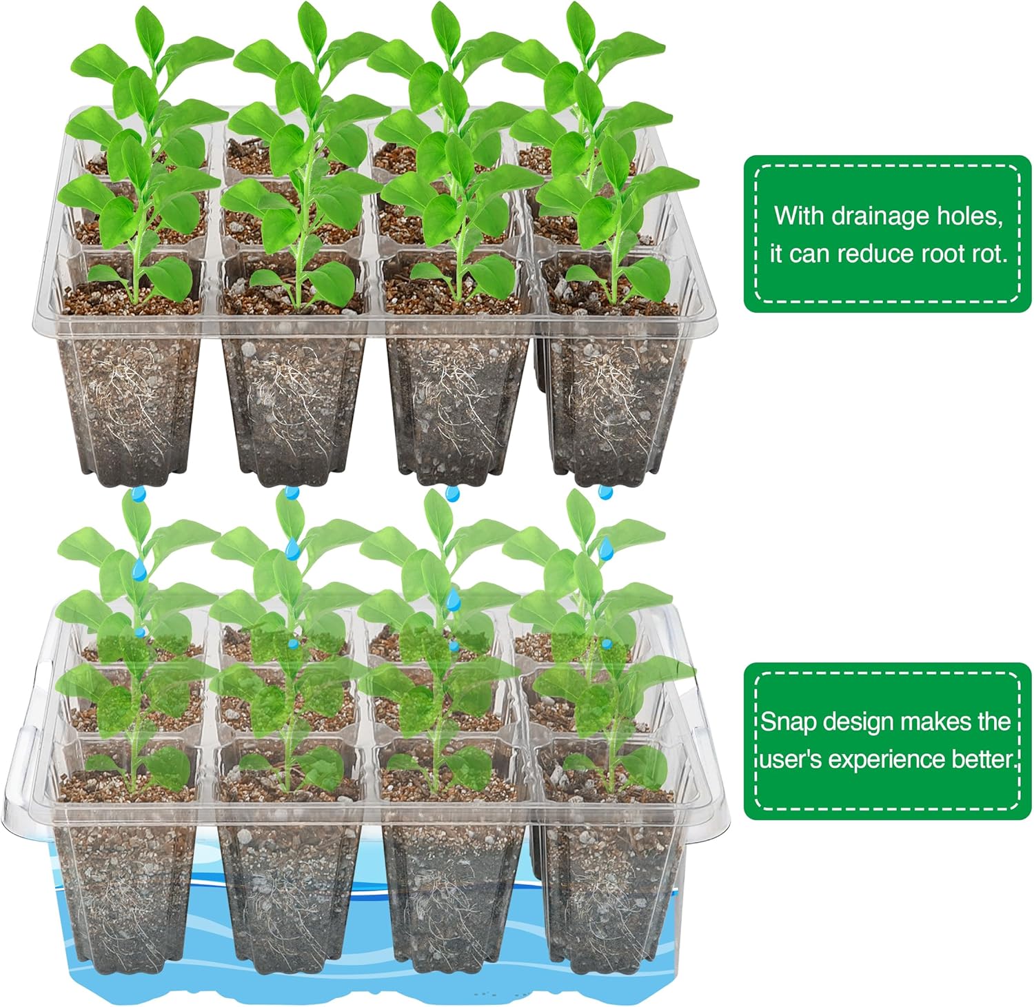 10-Pack Seed Starter Trays, Tall Dome, Base, 12-Cell Tray, Clear | 10 Seedling Kits with Tall Domes for Large Seed Starting. Adjustable Vents, Clear Trays & Heat Mat Compatibility, Indoor Use