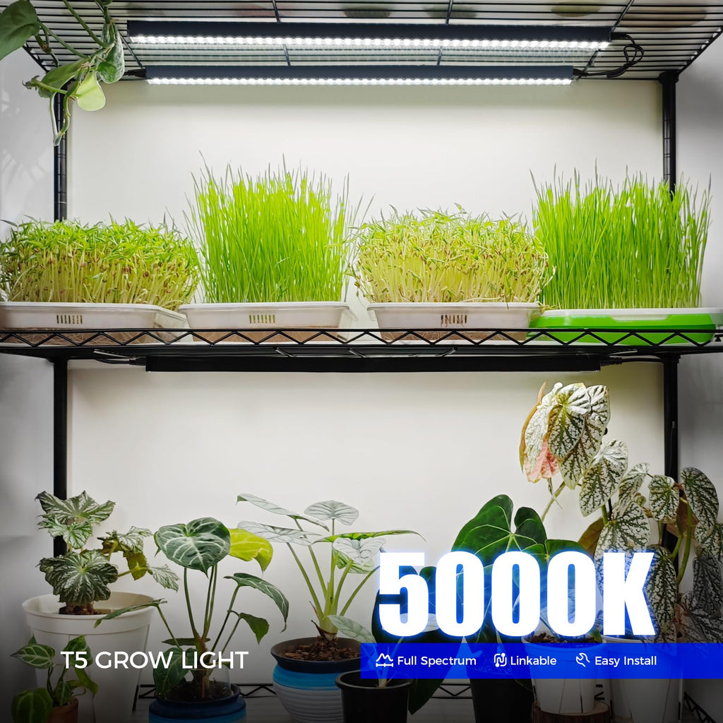 Barrina Grow Lights for Indoor Plant, T5 1FT Full Spectrum, Yellow, 4 Packs | Black Cover LED Grow Light Strips, Linkable, Plant Light for Indoor Plants Growing, 3 Mounting Modes, Separate On/Off