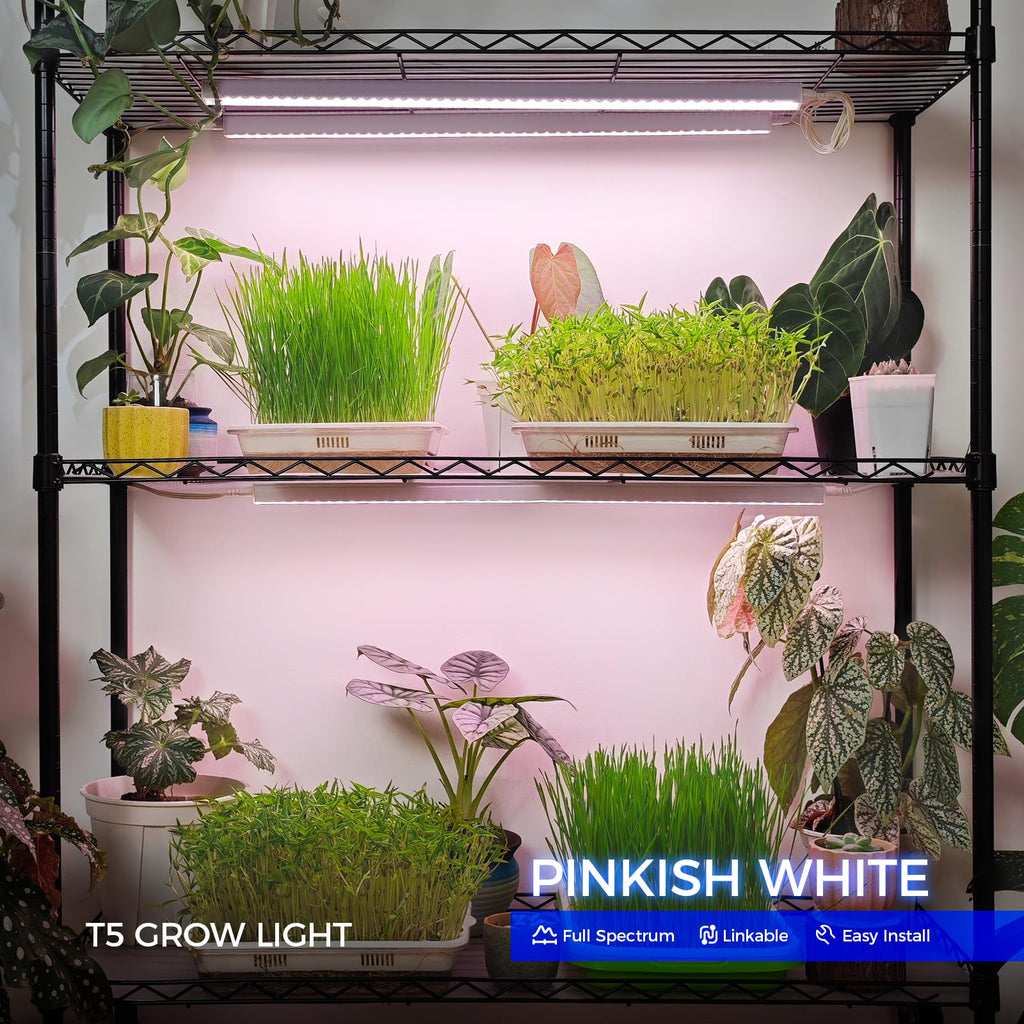 Barrina Grow Lights for Indoor Plant, T5 1FT Full Spectrum, Yellow, 4 Packs | Black Cover LED Grow Light Strips, Linkable, Plant Light for Indoor Plants Growing, 3 Mounting Modes, Separate On/Off