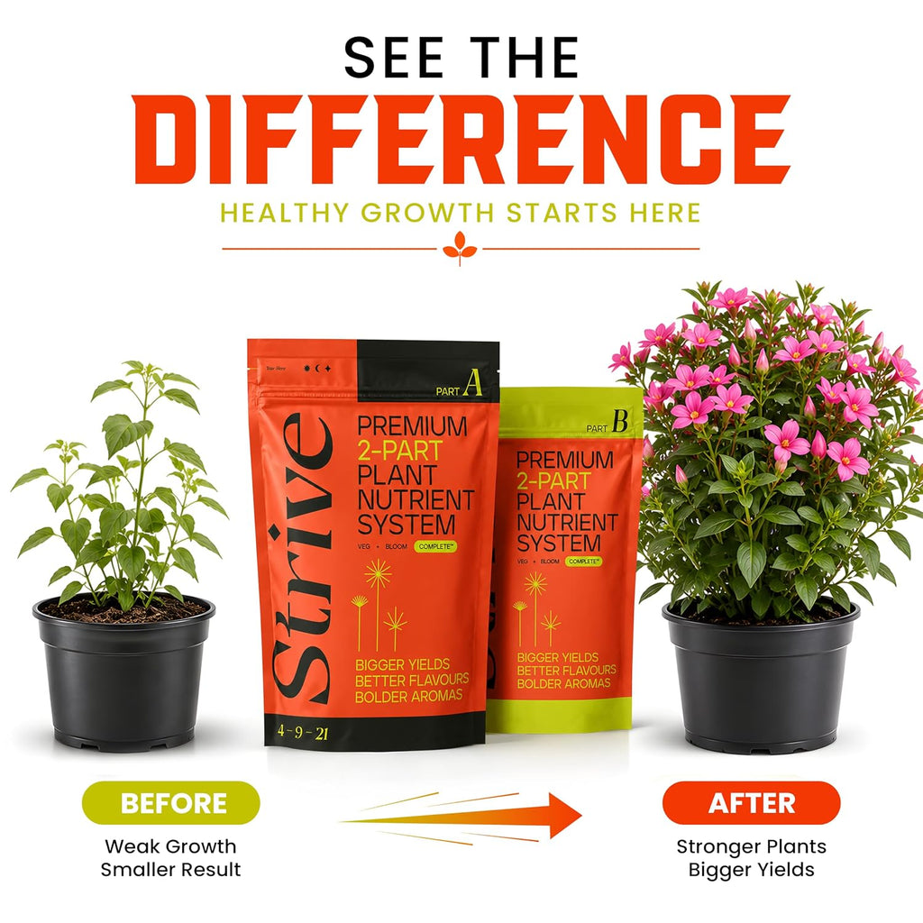 Strive Fertilizer Starter Kit Combo - Veg + Bloom General Hydroponic Nutrients - Indoor, Outdoor and Soil Growing Plant Food - Booster for Vegetables, Succulents, Flowers (Trial Combo 300 Grams)