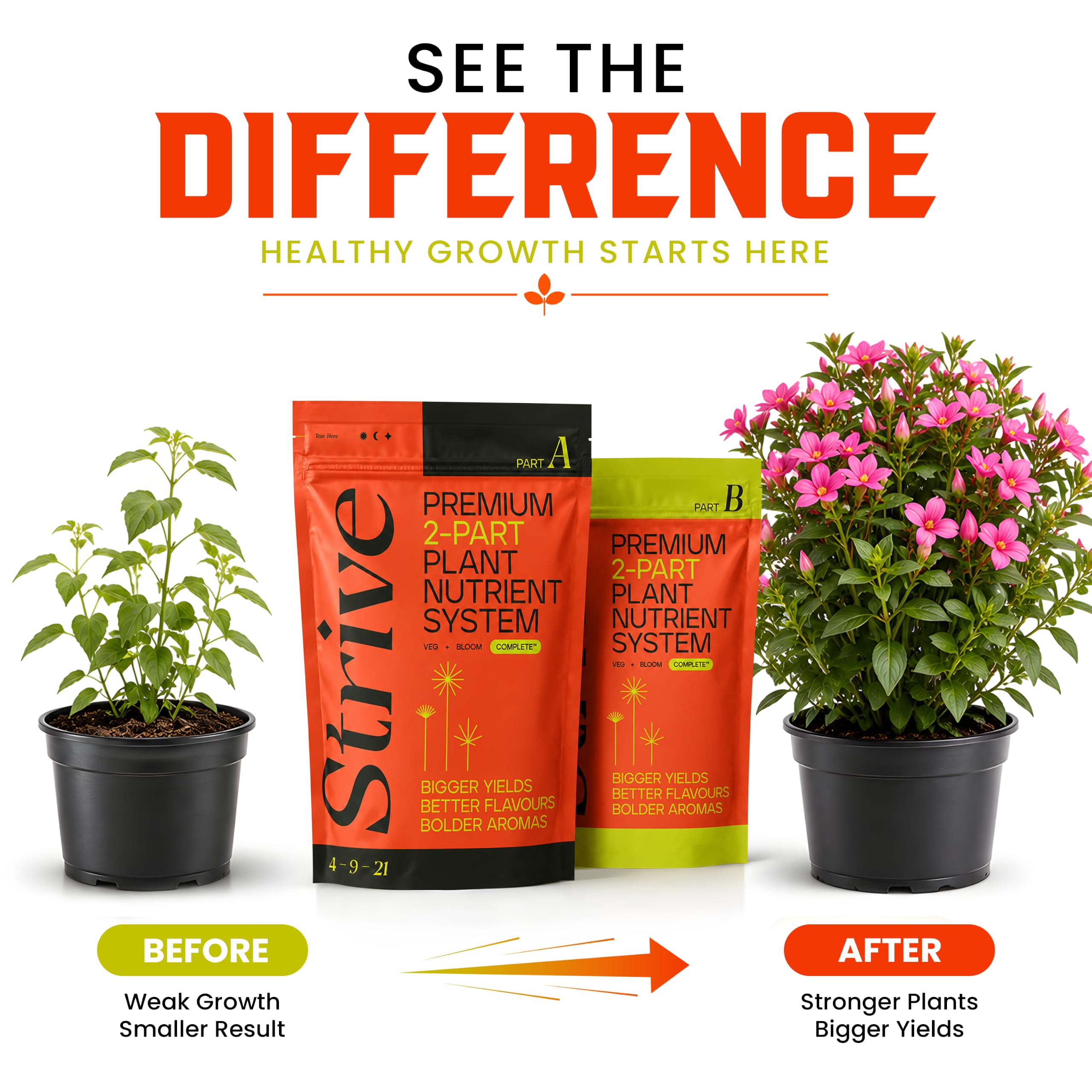 Strive Fertilizer Starter Kit Combo - Veg + Bloom General Hydroponic Nutrients - Indoor, Outdoor and Soil Growing Plant Food - Booster for Vegetables, Succulents, Flowers (Trial Combo 300 Grams)
