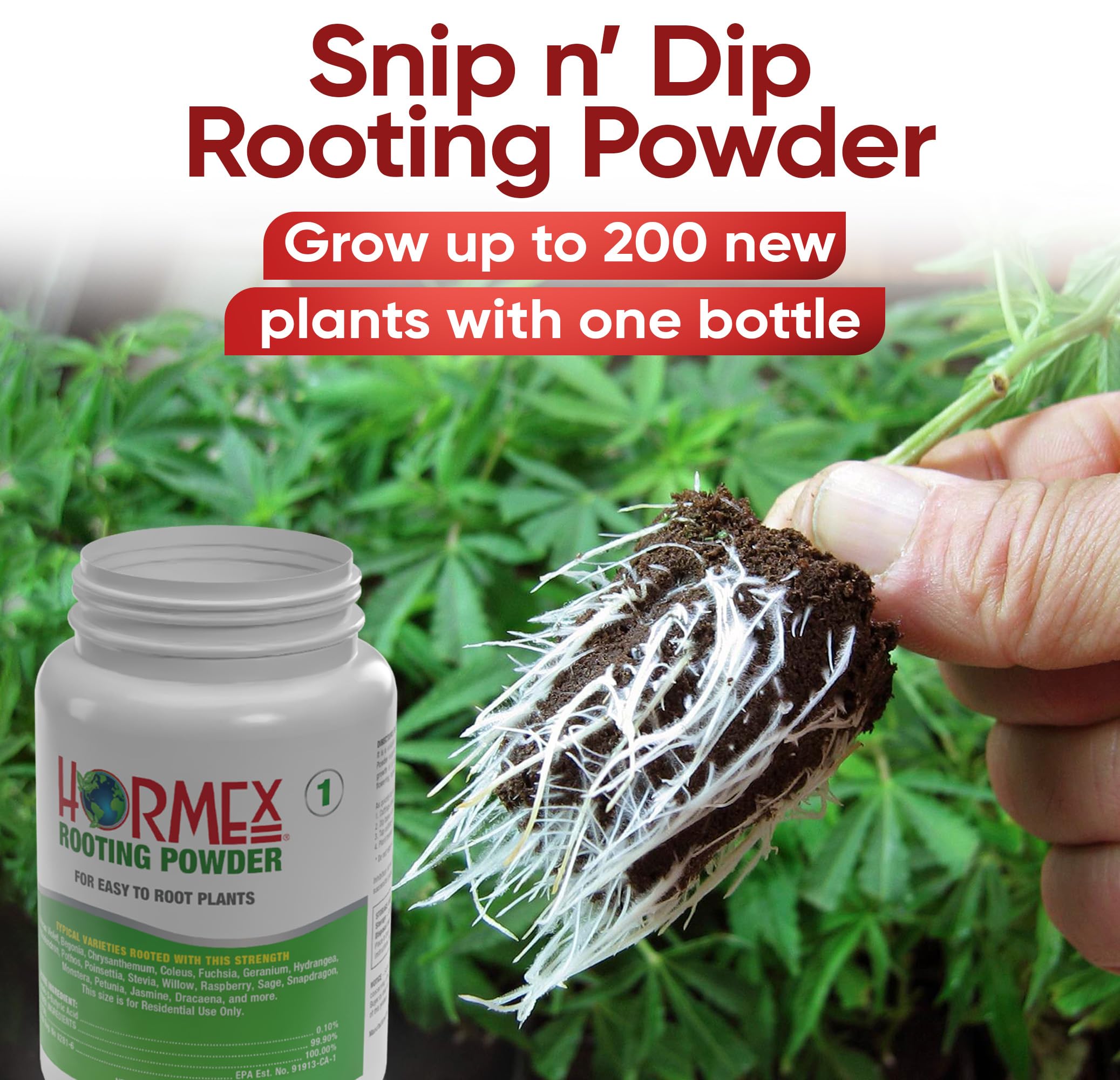Hormex Rooting Hormone for Cuttings #16 - Max-Strength Powder (1.60% IBA) | Maximum Strength Rooting Hormone, Root Stimulator for Plants, Rooting Powder Compound for Difficult Hardwood Plants & Trees