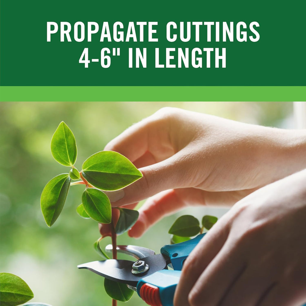 RootBoost Rooting Hormone, Rooting Powder for Plant Cuttings, 2 Ounces | Propagation for indoor and outdoor plants, container gardens and garden ornamentals, contains Hormodin 1