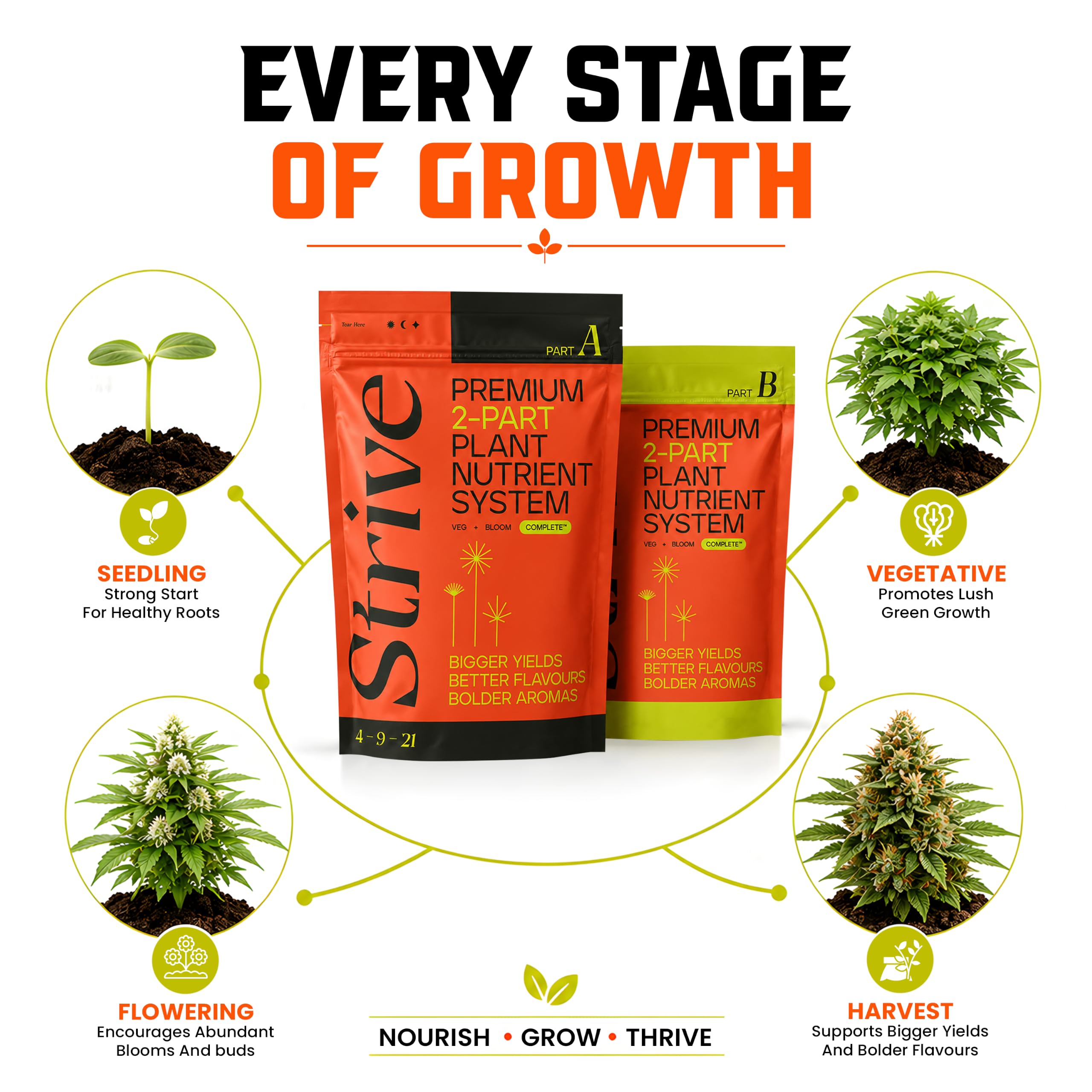 Strive Fertilizer Starter Kit Combo - Veg + Bloom General Hydroponic Nutrients - Indoor, Outdoor and Soil Growing Plant Food - Booster for Vegetables, Succulents, Flowers (Trial Combo 300 Grams)