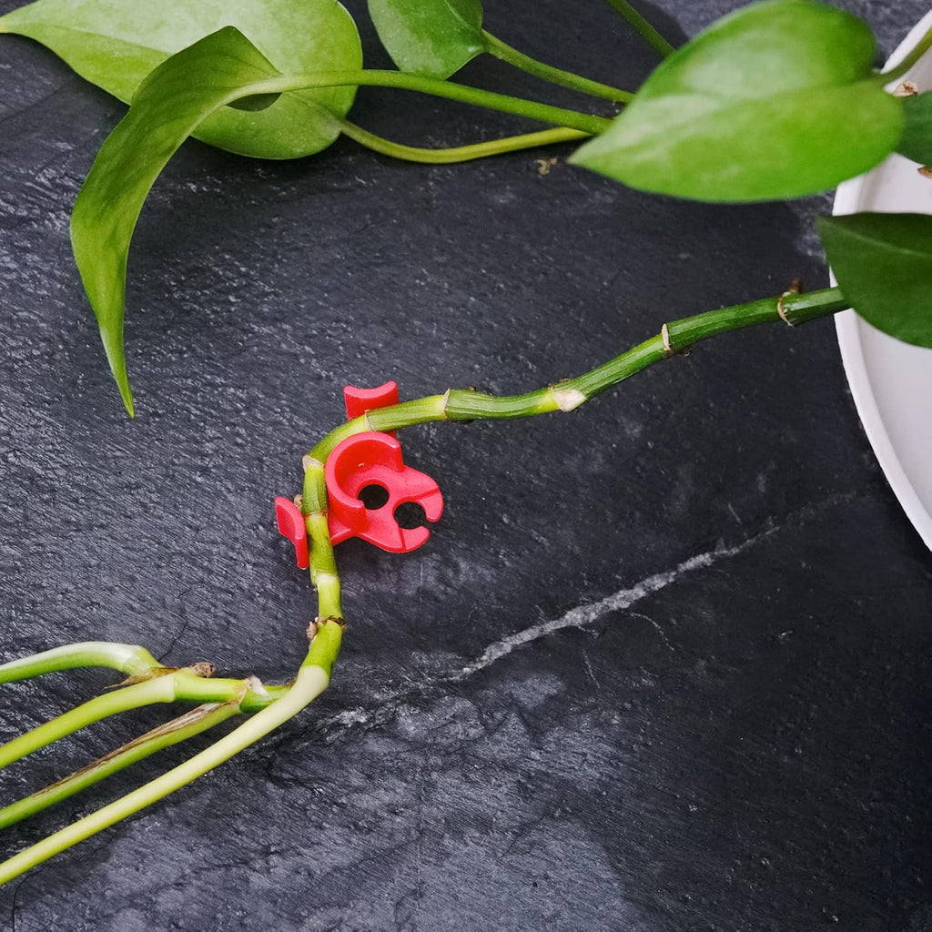 30-Pack 90° Plant Training Clips, Red Plant Clips | Reusable low-stress clips, fits stems under 0.25 in, deep grooves reduce slipping, improves airflow and light for plants
