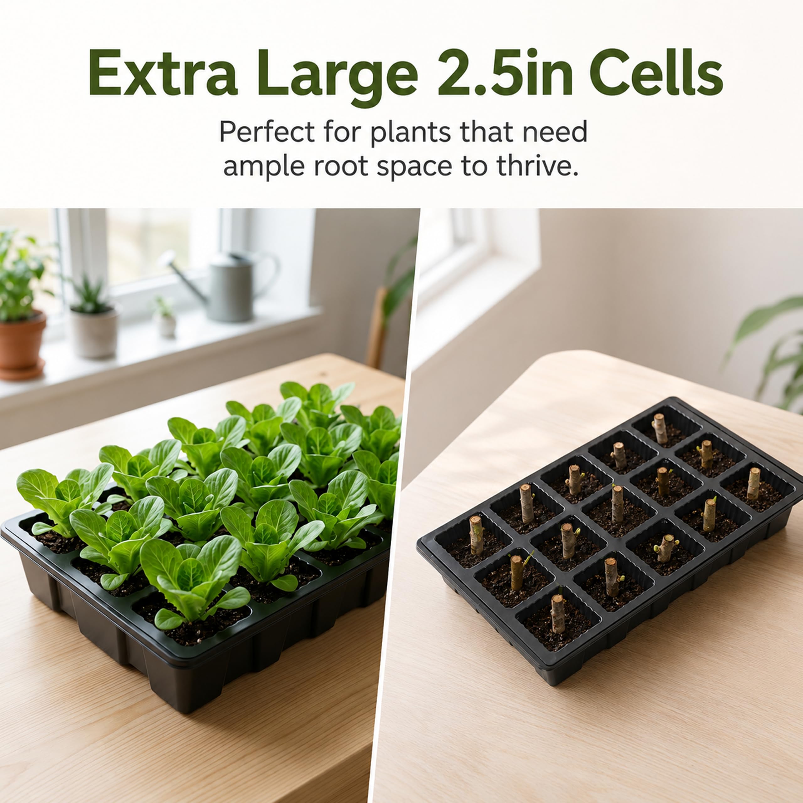 Gardzen 5-Set Seed Starter Tray Kits, Durable Plant Germination Trays with Humidity Vented Domes and Bases, Ideal for Seed Starting, Indoor Gardening, and Greenhouse (Total 200 Cells) | Durable Plant Germination Kit with Humidity Control Domes for Indoor