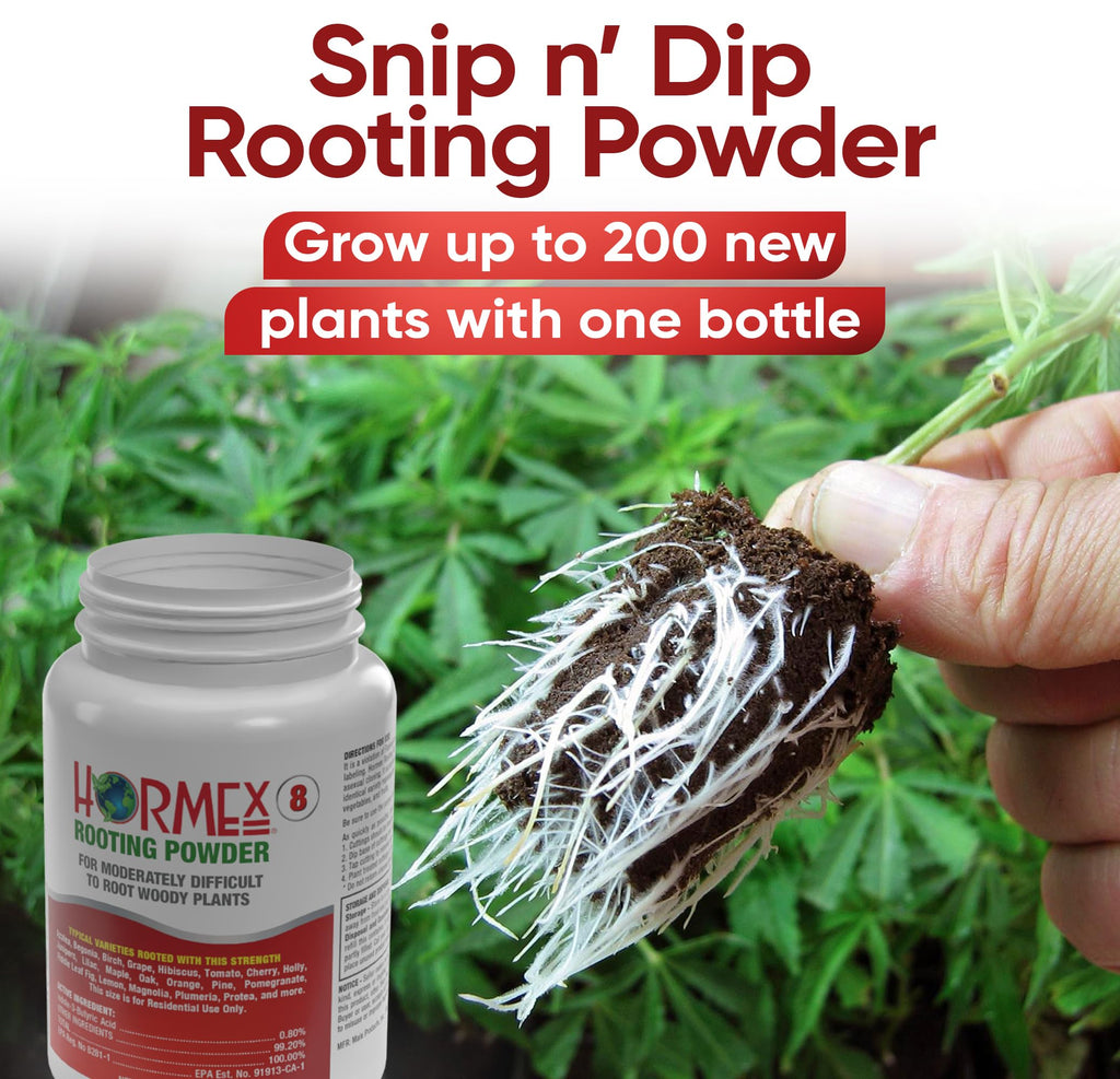 Hormex Rooting Hormone for Cuttings #16 - Max-Strength Powder (1.60% IBA) | Maximum Strength Rooting Hormone, Root Stimulator for Plants, Rooting Powder Compound for Difficult Hardwood Plants & Trees