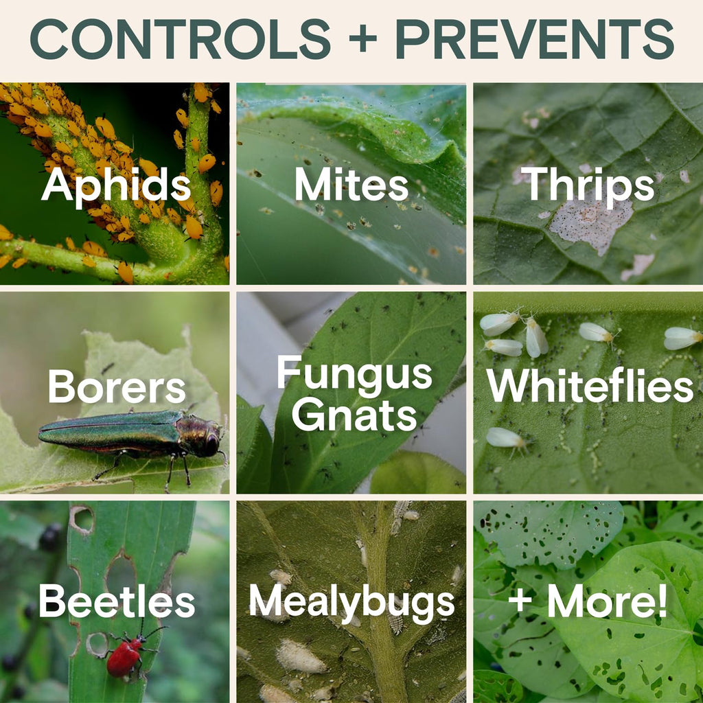 Organic Insecticide & Fungicide for Plants - Indoor/Outdoor, 16oz | Indoor and outdoor protection controls powdery mildew, spider mites, aphids, whiteflies, and fungus gnats
