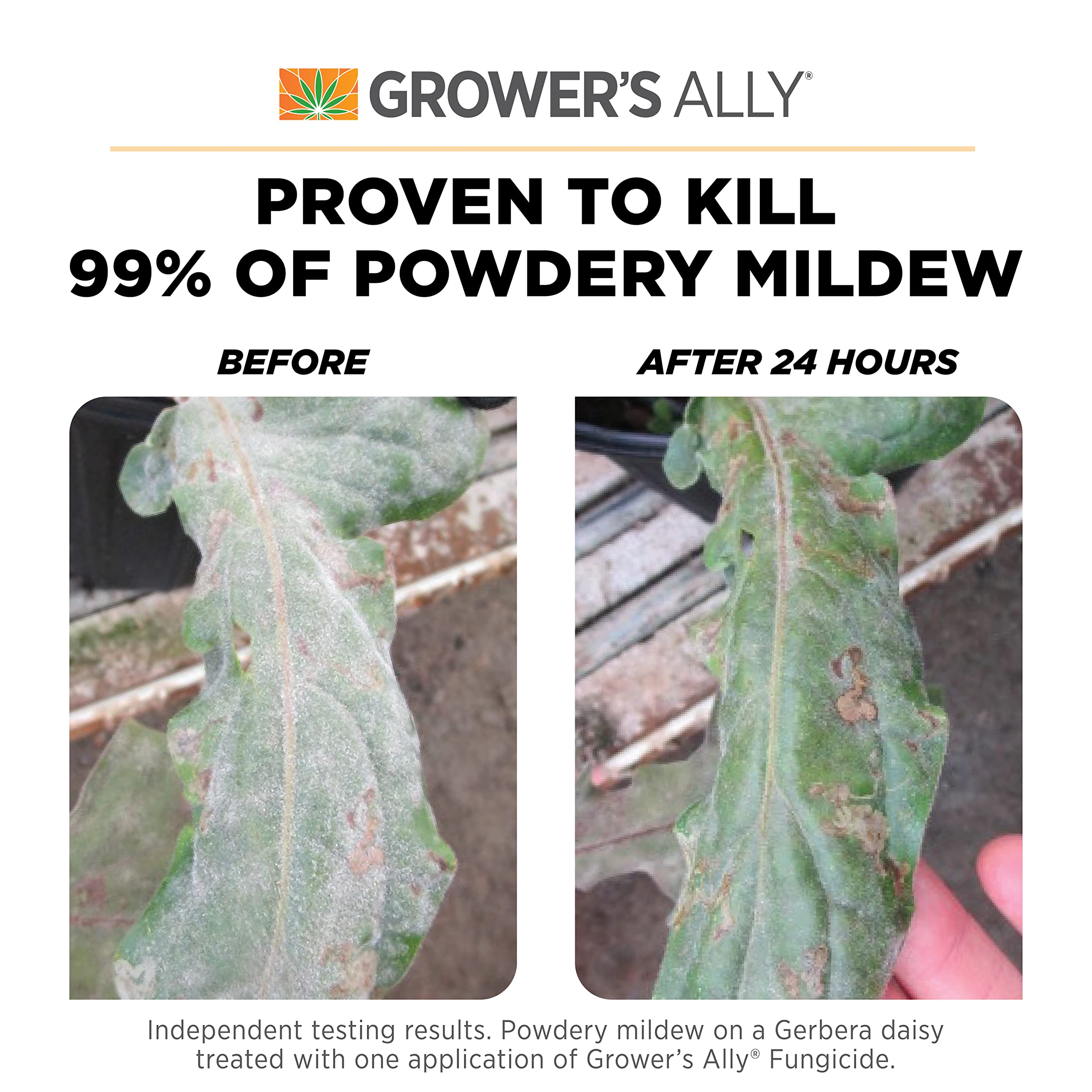Grower's Ally Fungicide Concentrate for Plants, 8 Oz, Makes 5 Gallons