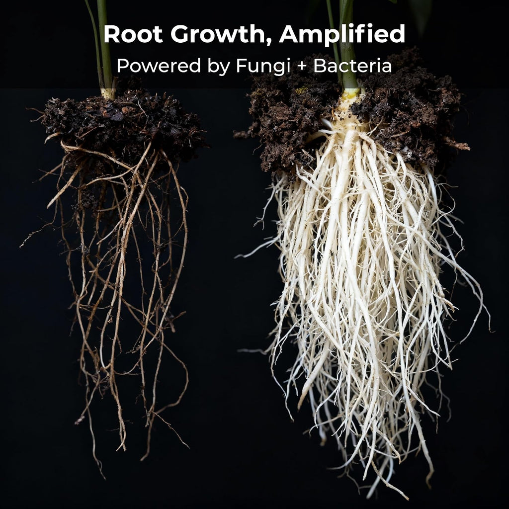 Real Growers Recharge 2 oz – Explosive Root Growth with Mycorrhizae for Living Soil & Coco Coir