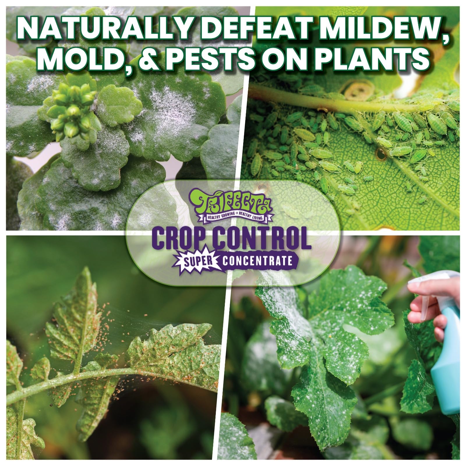 Trifecta Crop Control Ready to Use Maximum Strength Natural Pesticide, Fungicide, Miticide, Insecticide, Help Defeat Spider Mites, Powdery Mildew, Botrytis and Mold on Plants 32 OZ Size