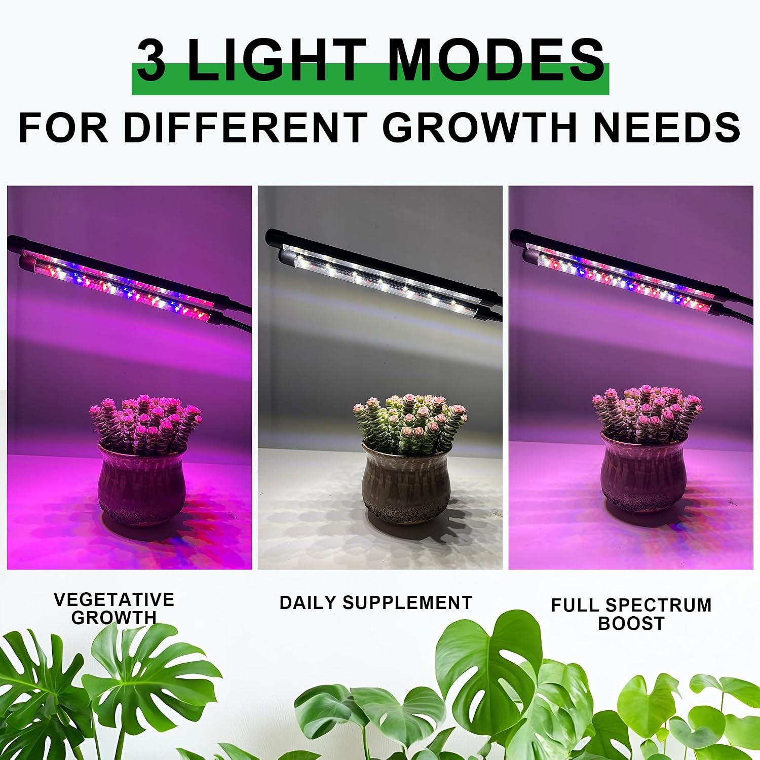 40-LED Full Spectrum Clip Grow Light for Indoor Desk Plants | UL-Listed 5V Adapter & Smart Chip Timer, Ideal for Dark Bookshelf Variegated Plants, Zero-Drift Memory Circuit Protection