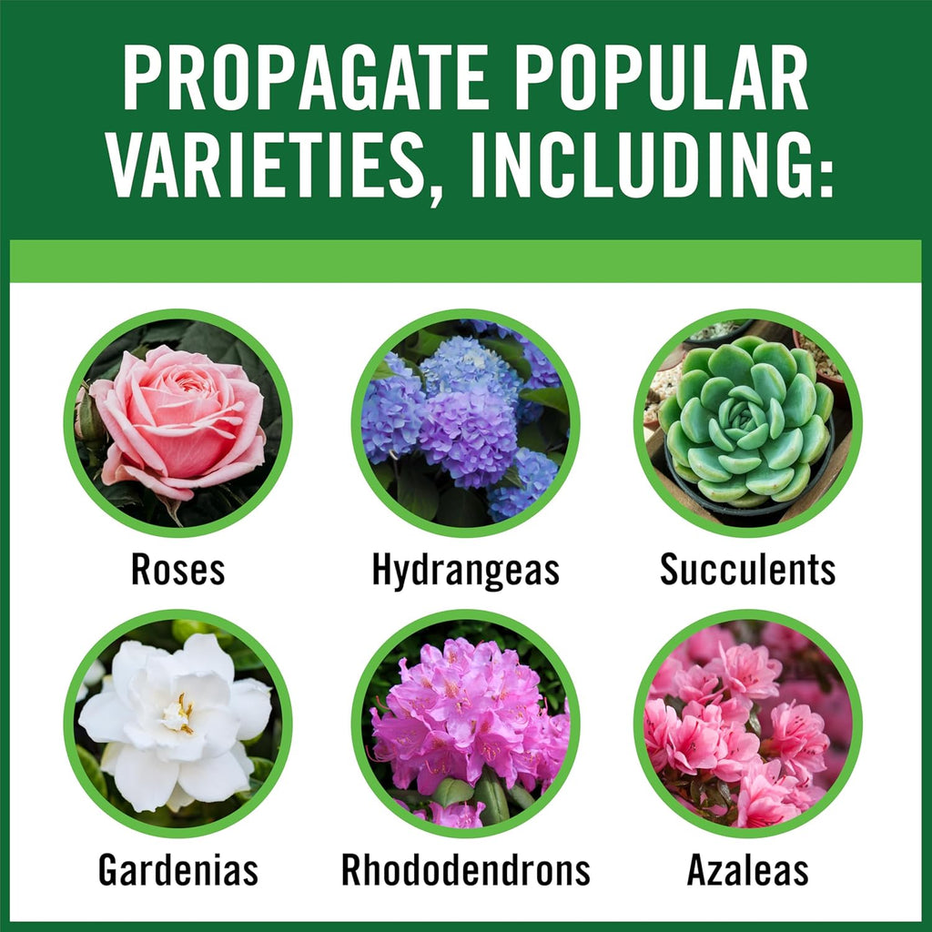 RootBoost Rooting Hormone, Rooting Powder for Plant Cuttings, 2 Ounces | Propagation for indoor and outdoor plants, container gardens and garden ornamentals, contains Hormodin 1