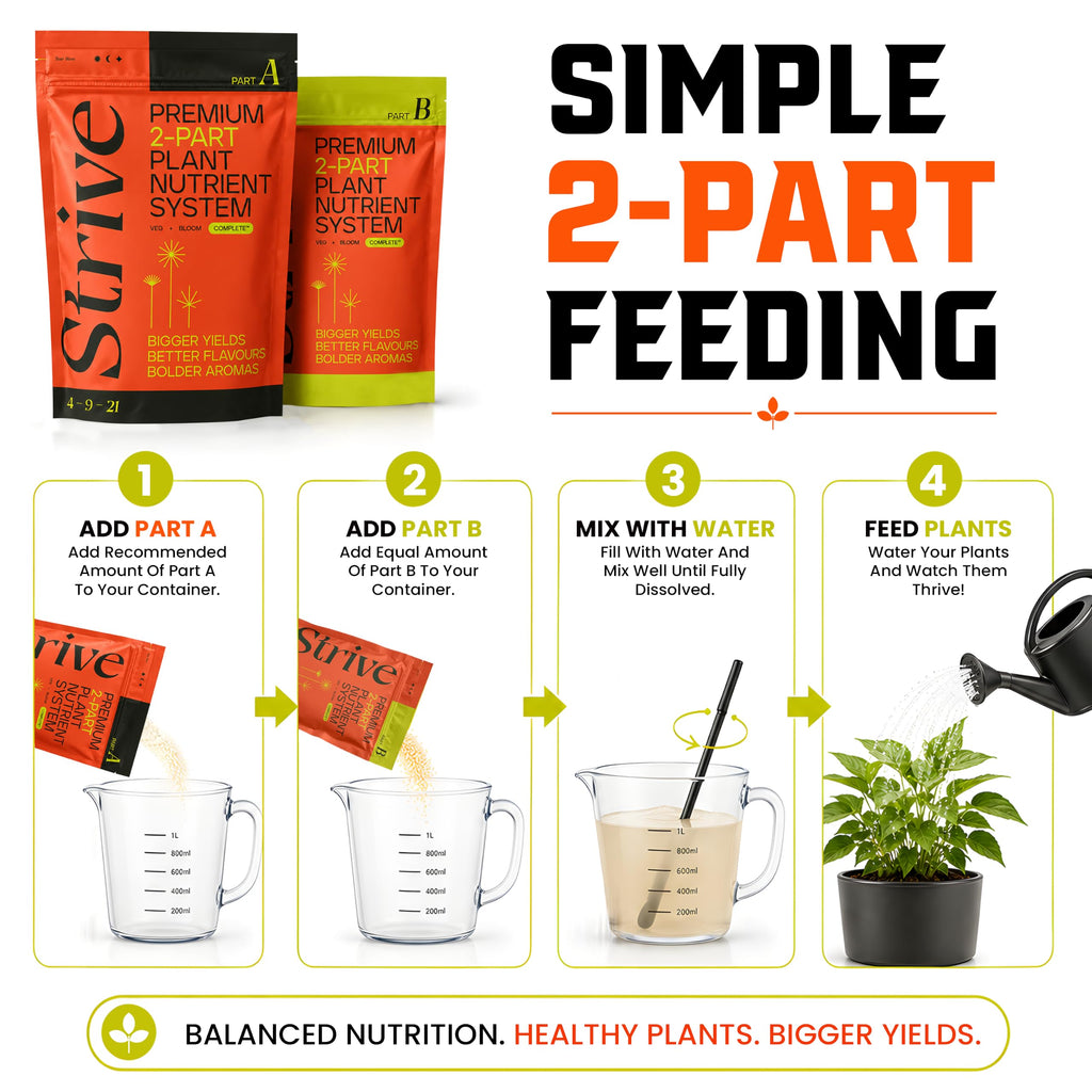 Strive Fertilizer Starter Kit Combo - Veg + Bloom General Hydroponic Nutrients - Indoor, Outdoor and Soil Growing Plant Food - Booster for Vegetables, Succulents, Flowers (Trial Combo 300 Grams)