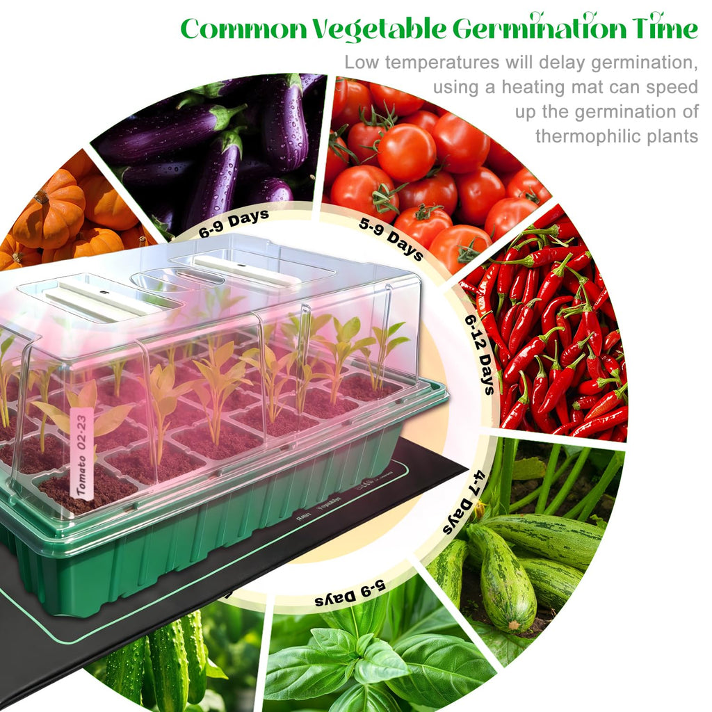 Seed Starter Tray with Grow Light (2x 24-LED), 2 Pack for Seed Starting | Seed Starter Kit with Humidity Domes and Timing Controller, Adjustable Brightness, Reusable Thicken Seedling Starter