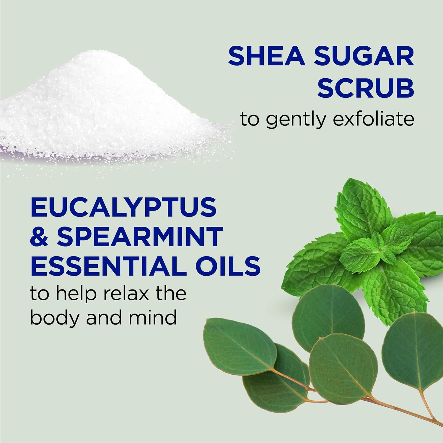 Dr Teal's Shea Sugar Body Scrub, Cannabis Sativa Hemp Seed Oil with Essential Oils, 19 oz (Pack of 3)