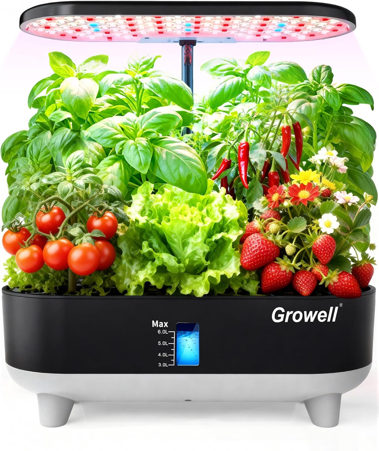 Growell 16 Pods Hydroponics Growing System Kit with 3 Light Modes & 2 Timer | Smart Water Circulation, LED Grow Light, 8L Large Water Tank, Coutertop, Indoor Herb Garden, Perfect Gardening Gifts, Black