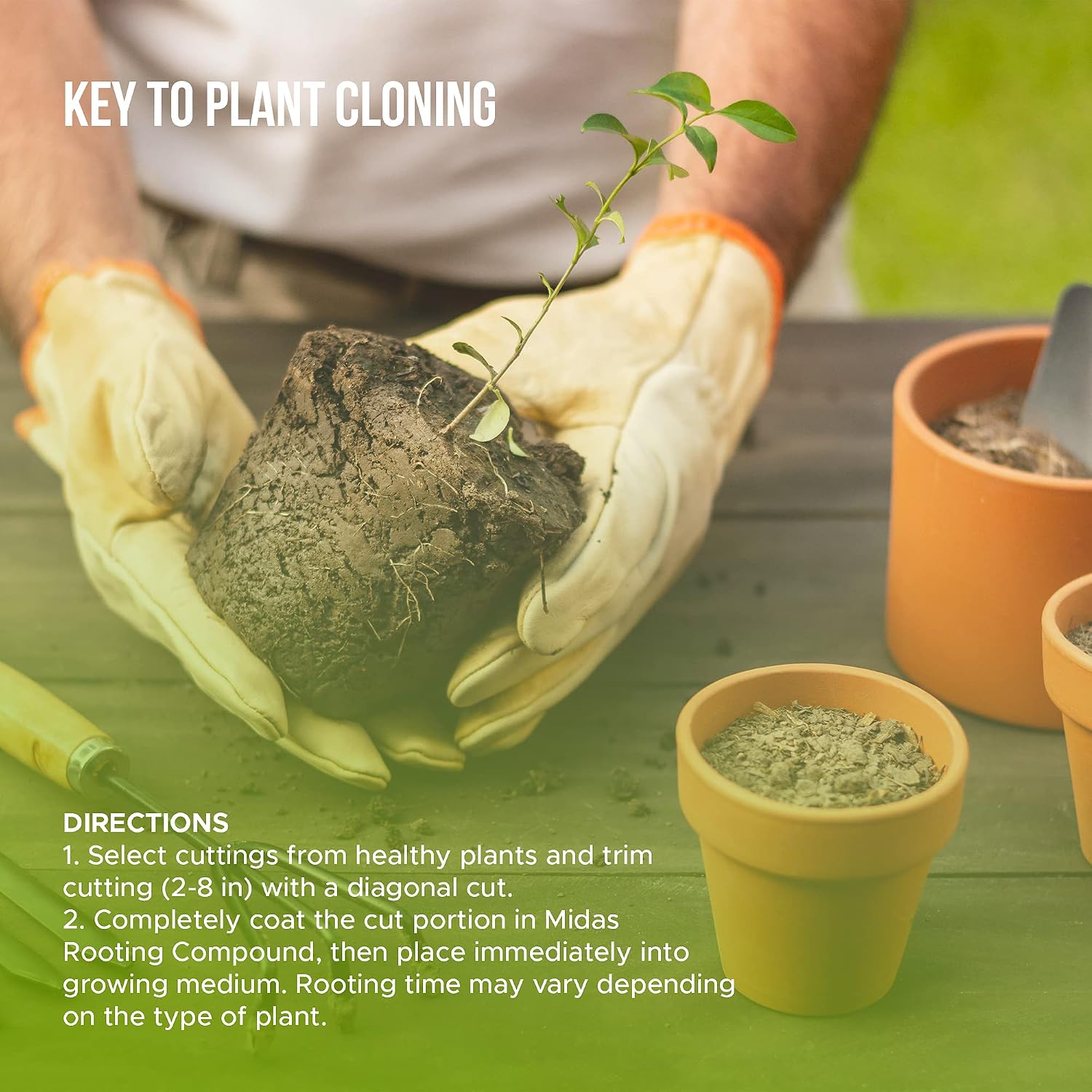 Rooting Hormone for Cuttings – .35 IBA Rooting Hormone - Cloning Gel Key to Plant Cloning - Midas Hydro Fast Growth Progatating Gel for Cuttings - Rooting Gel for Professional and Home Based Growers