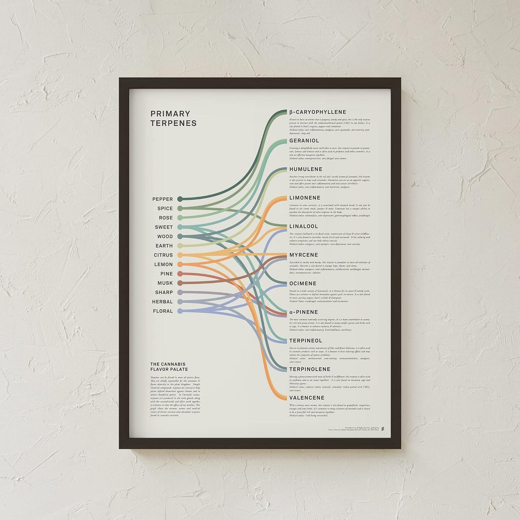 Goldleaf Primary Terpenes Art Print: The Cannabis Flavor Palate Infographic Chart, Terpene Poster, Marijuana Flavors Infographic, Elevated Stoner Decor, Weed Chart Wall Art (18x24)