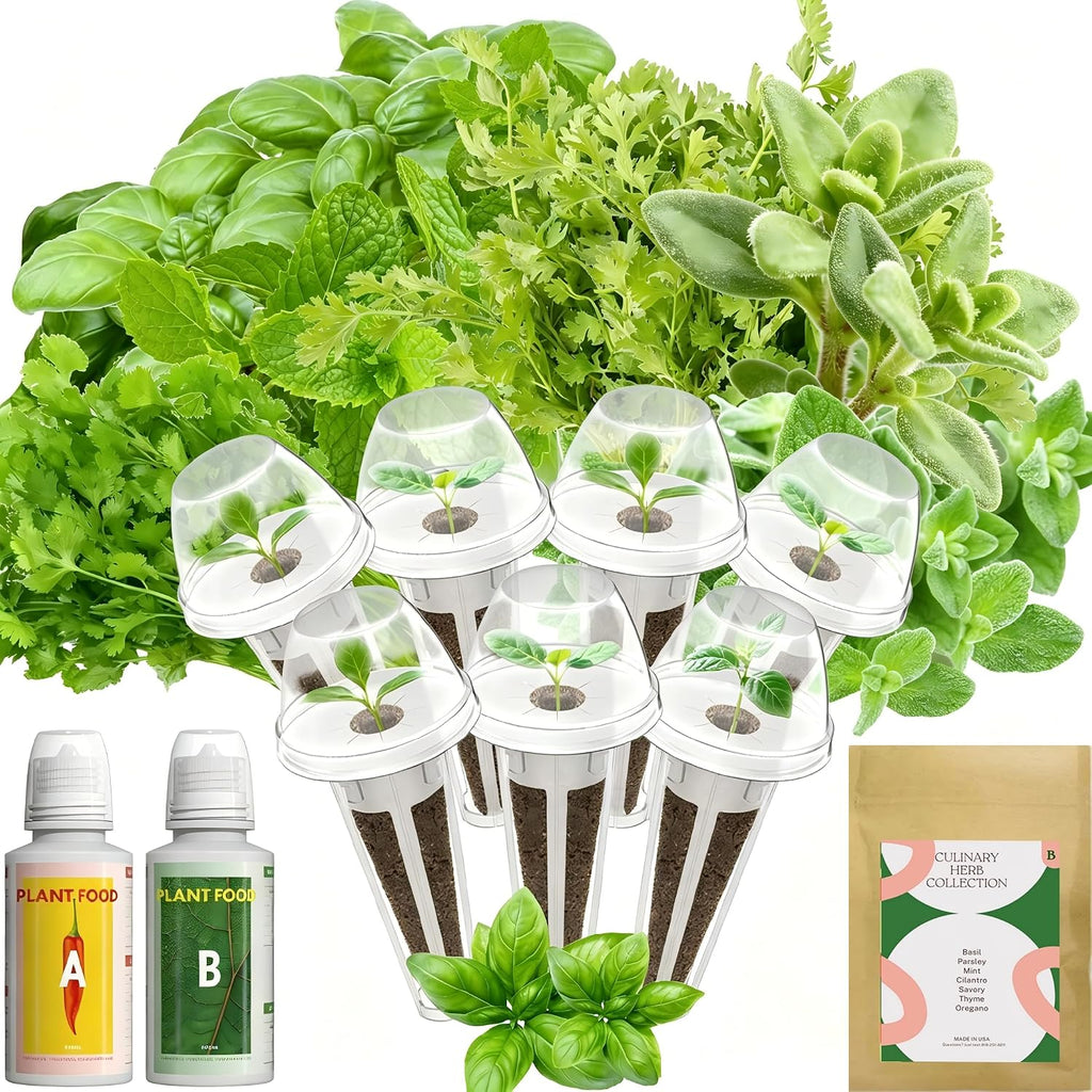 inbloom Hydroponics Herb Seed Pod Kit for AeroGarden, iDoo, Ahopegarden, GARDENCUBE, 7 Pods (350+ Herb Seeds with Basil, Parsley, Mint, Cilantro, Savory, Thyme and Oregano)